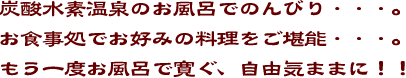 炭酸水素温泉のお風呂でのんびり。お食事処でお好みの料理をご堪能。もう一度お風呂で寛ぐ、自由気ままに！！